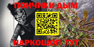 шишки Заволжье