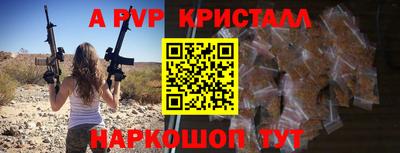 шишки Заволжье